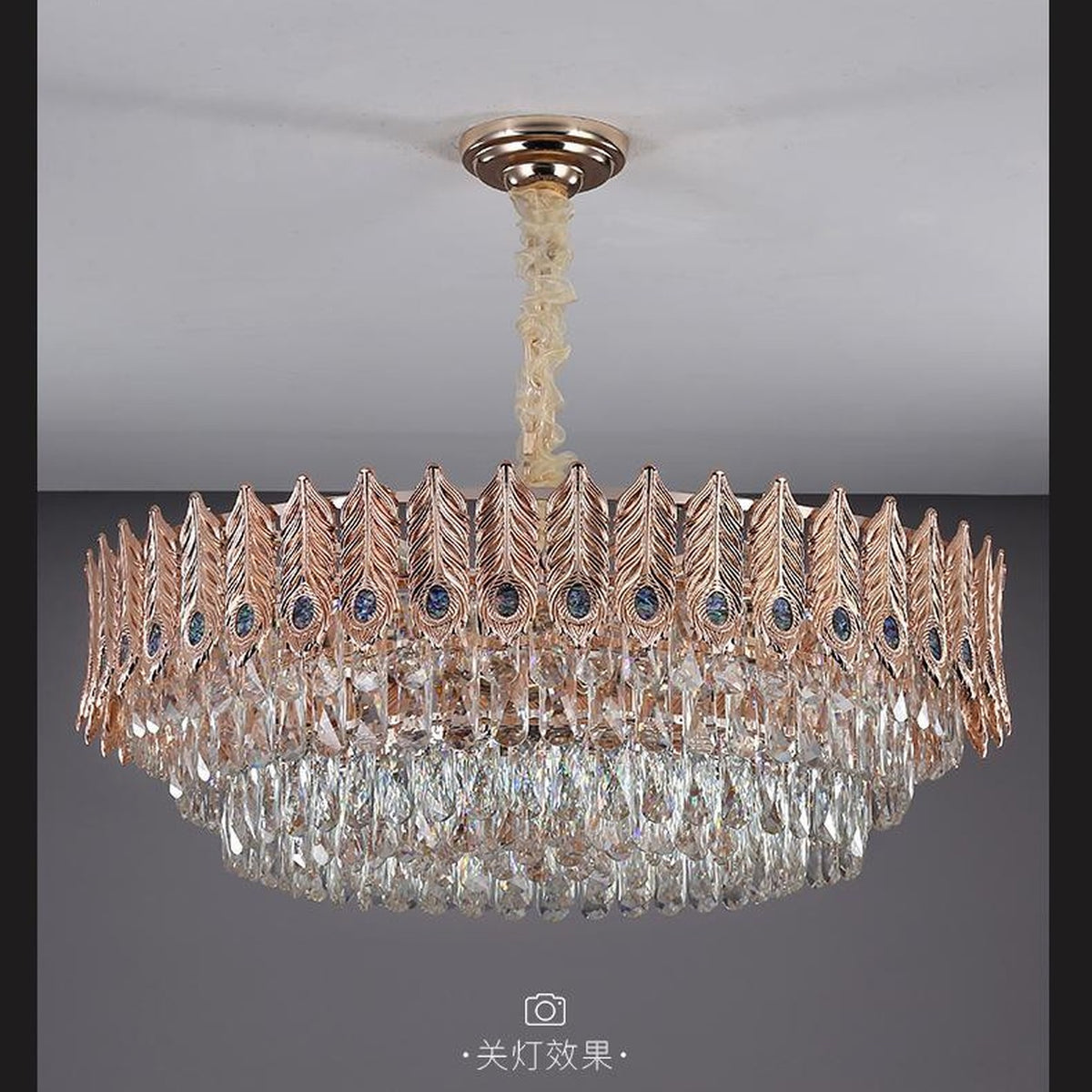 AM0579 — Postmodern Peacock Crystal Chandelier for Living Rooms