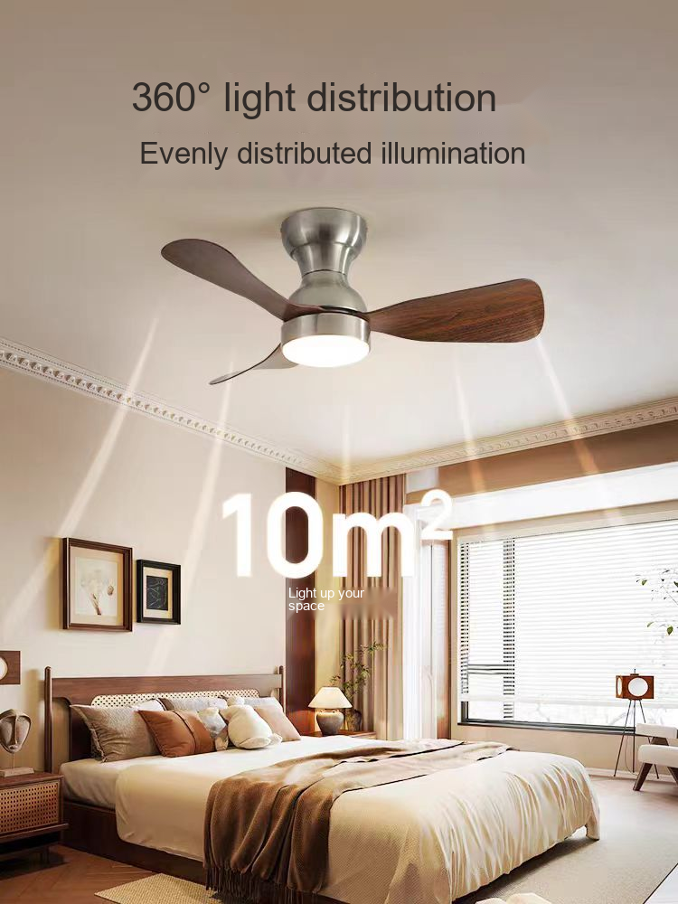 PALERILL AM0201 product image 2