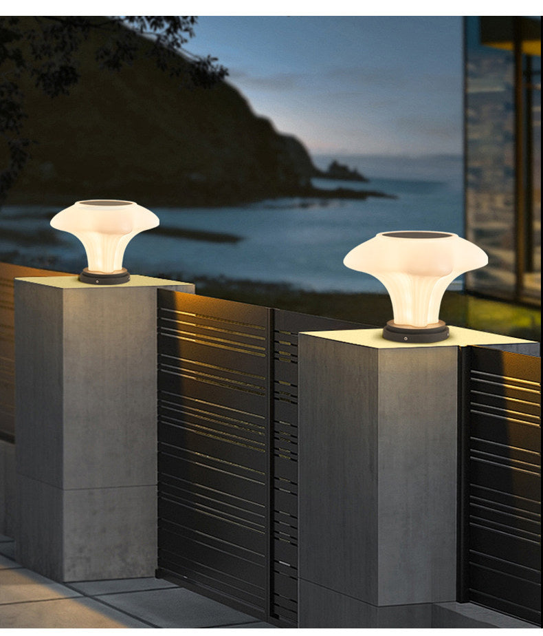 PALERILL HC-841468903479 detail 12