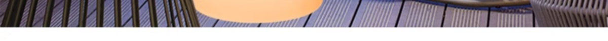 PALERILL HC-728616308678 detail 17