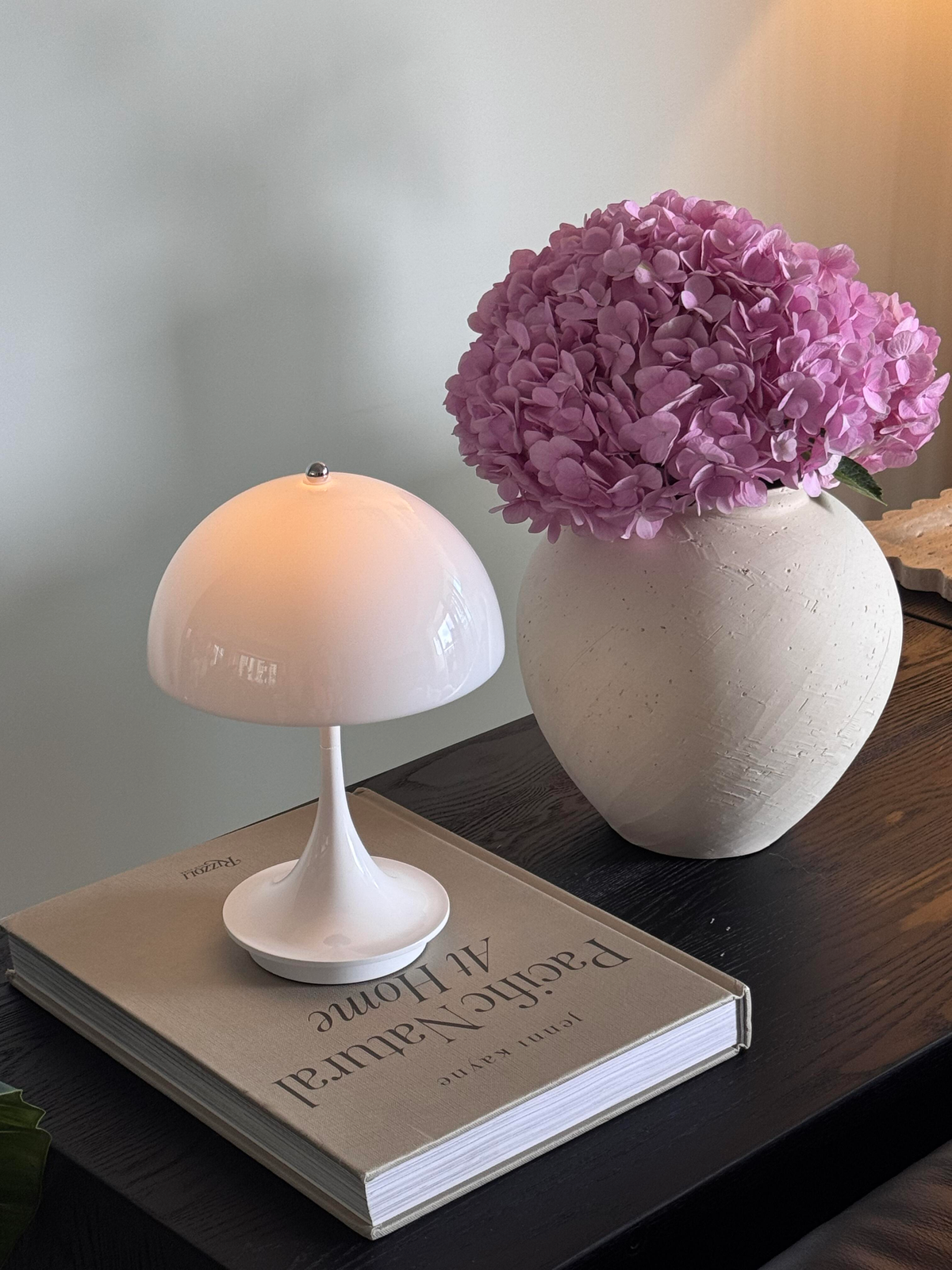 Portable LED Mushroom Table Lamp — AM0154, view 28