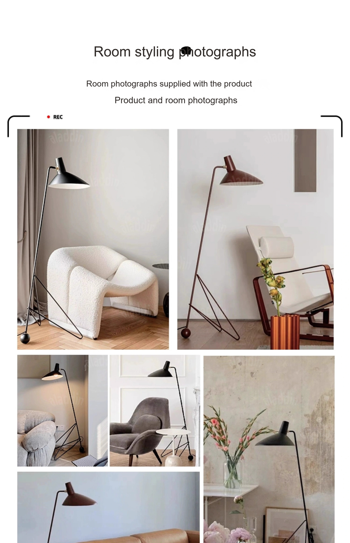 PALERILL AM0199 product image 18