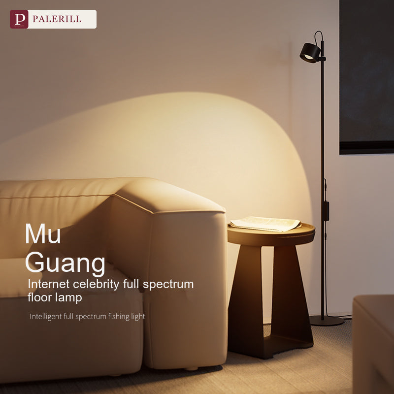 PALERILL | Full-Spectrum Eye-Care Floor Lamp