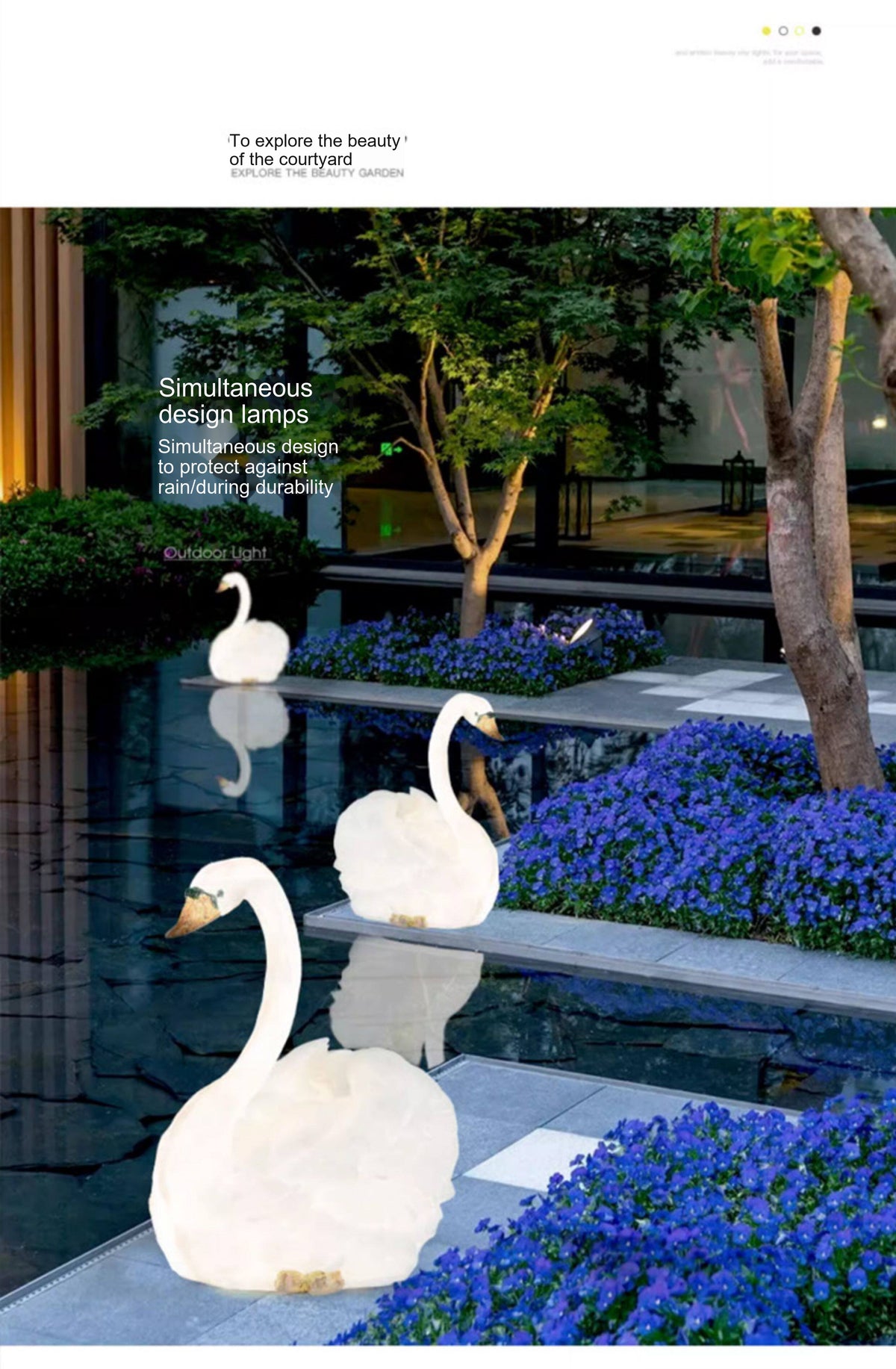 PALERILL HC-857824302255 detail 02