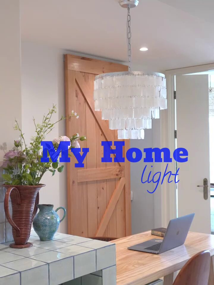 Silver Leaf Shell Pendant Light — AM0158, view 15