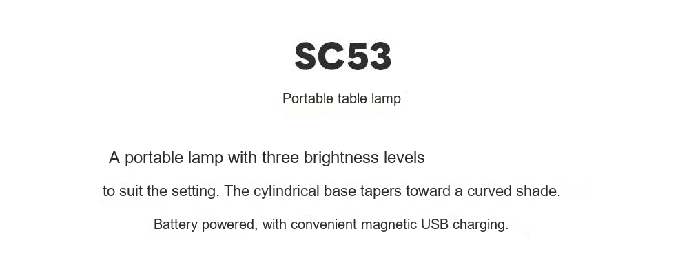 Brushed Metal Rechargeable Table Lamp — AM0144, view 14