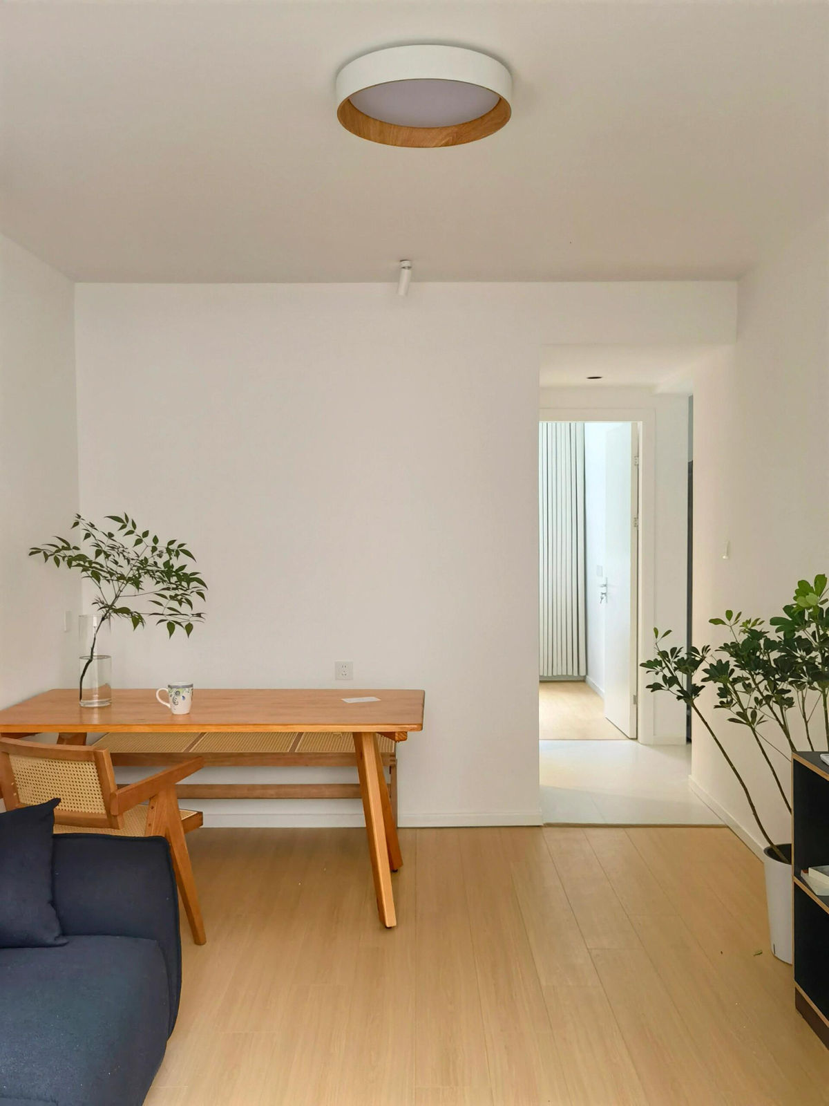 PALERILL AM0188 product image 4