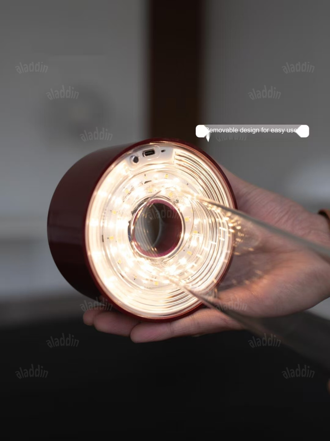 PALERILL AM0242 product image 12