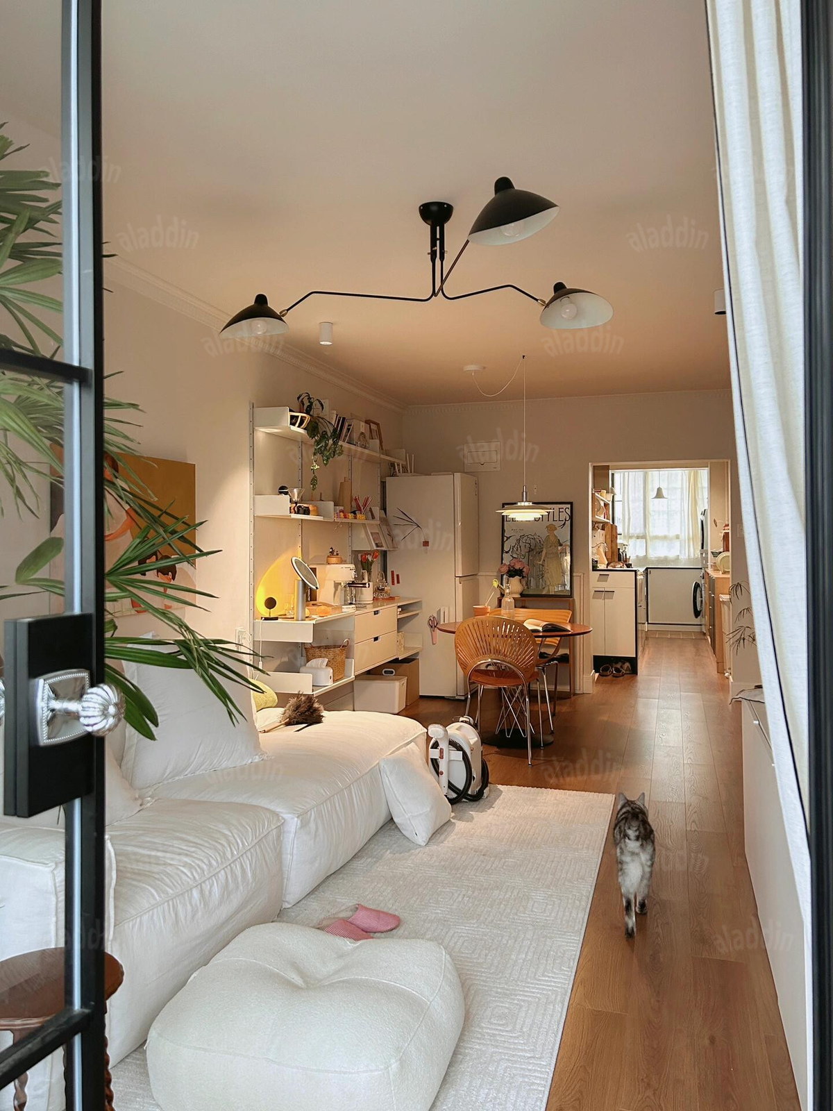 PALERILL AM0169 product image 5