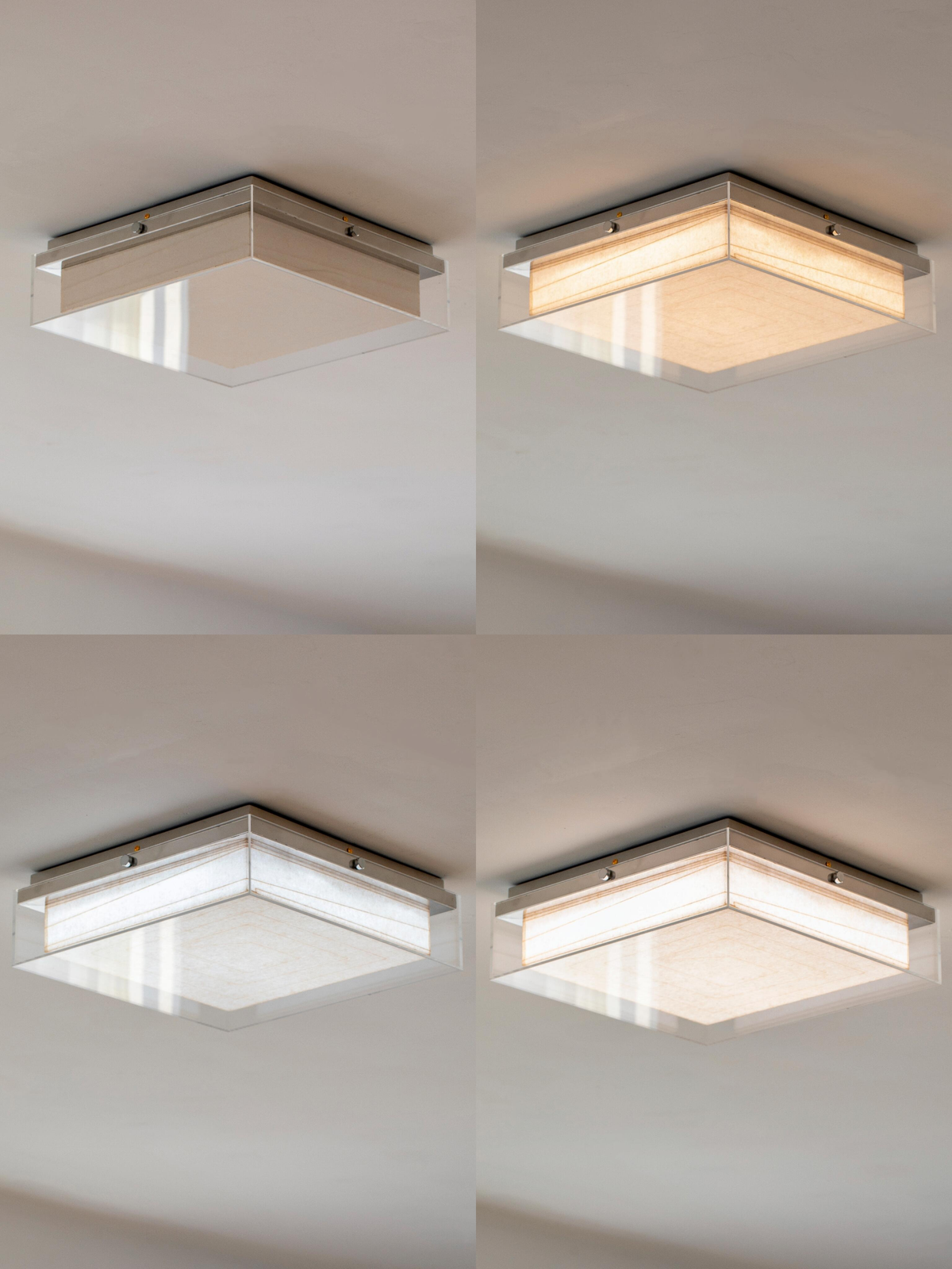 PALERILL AM0186 product image 3