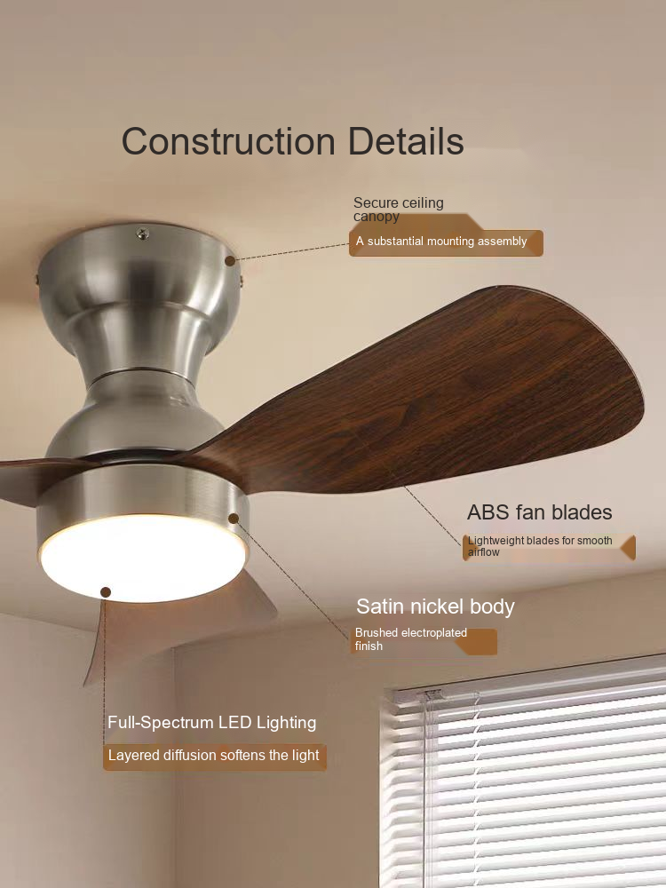 PALERILL AM0201 product image 4