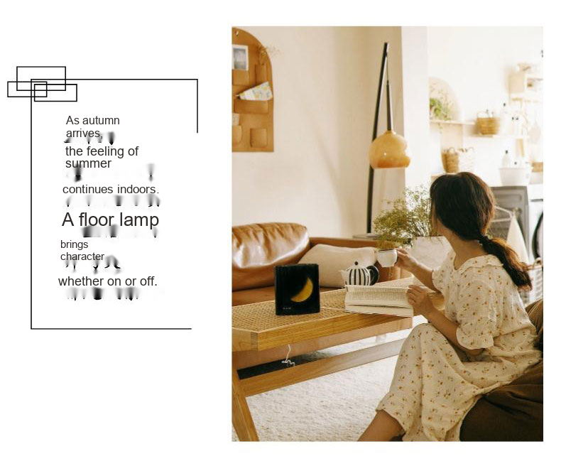 PALERILL AM0218 product image 12