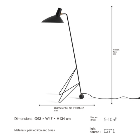 Matte black Floor lamp