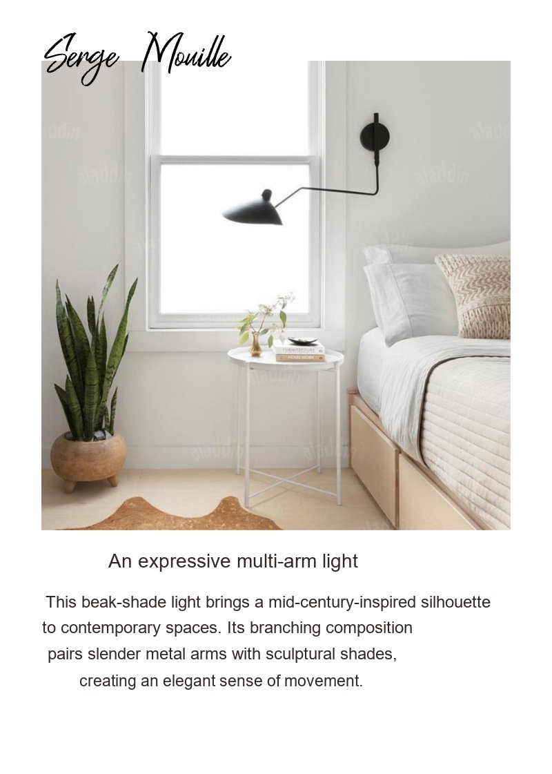 PALERILL AM0221 product image 17