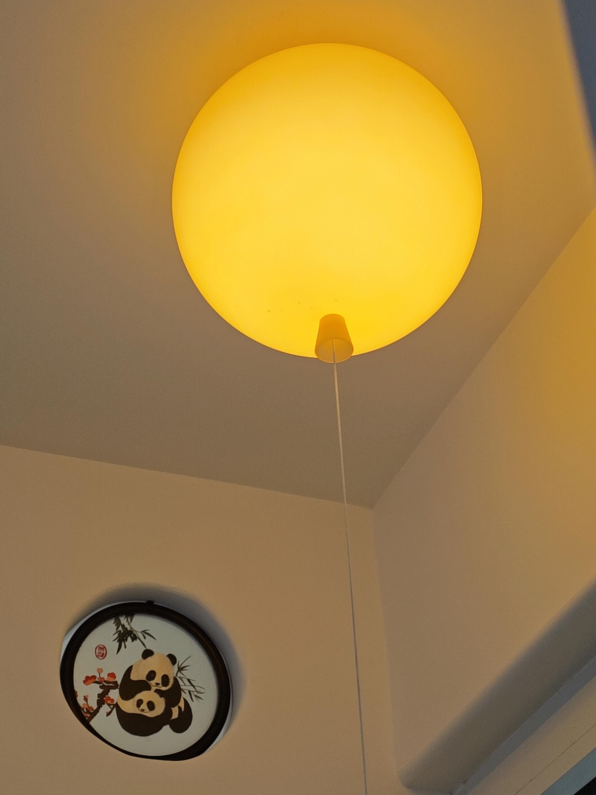 PALERILL AM0208 product image 29