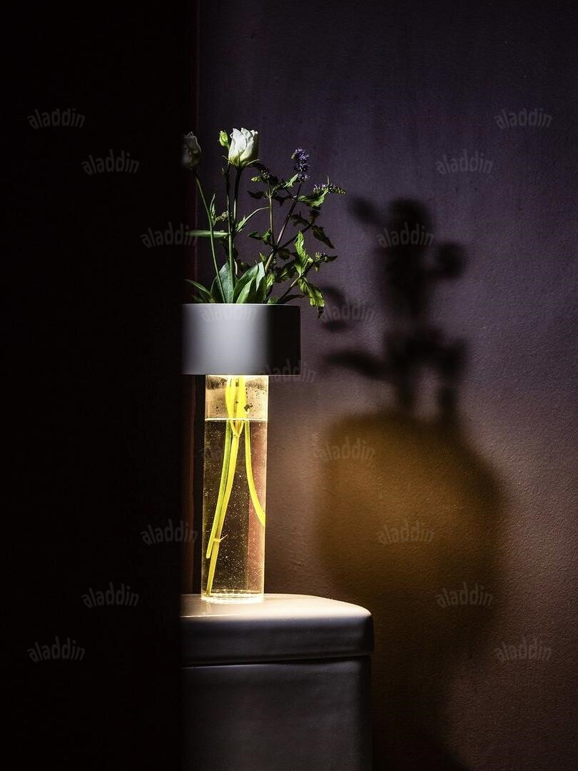 PALERILL AM0242 product image 20