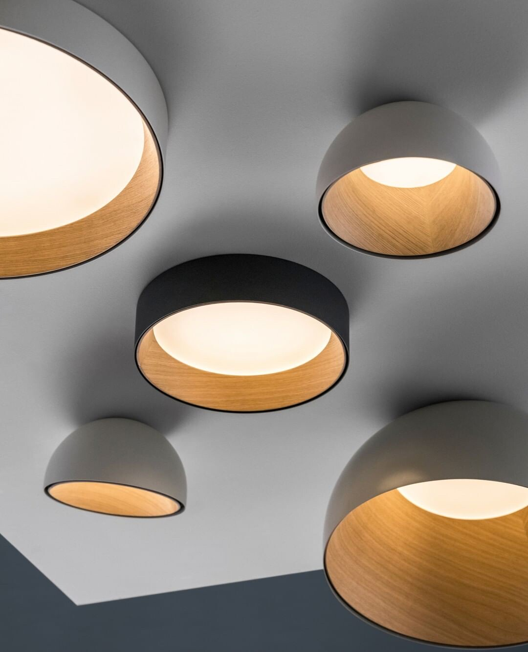 PALERILL AM0188 product image 26
