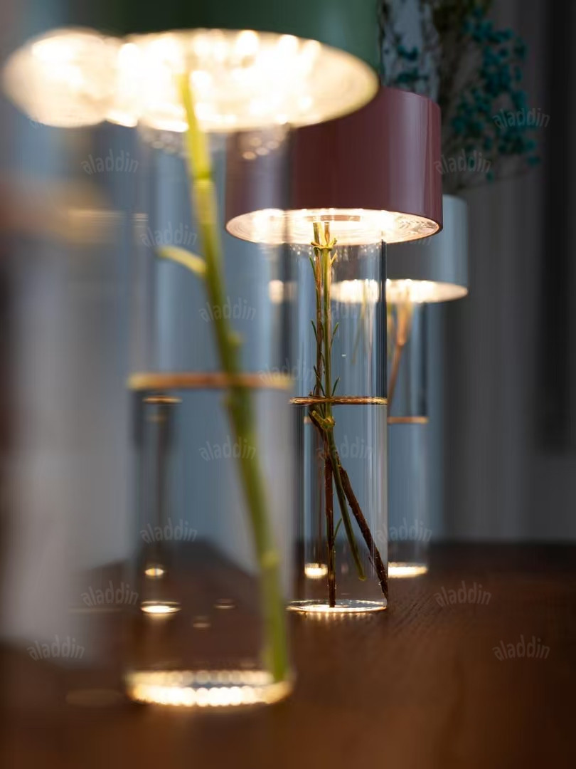 PALERILL AM0242 product image 14