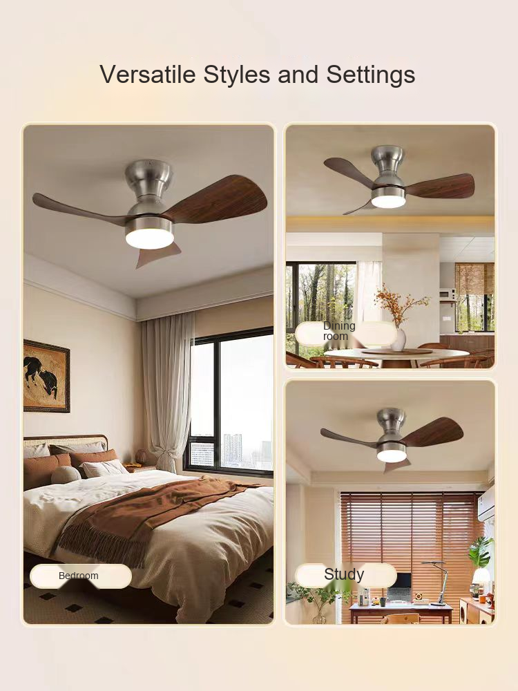 PALERILL AM0201 product image 5