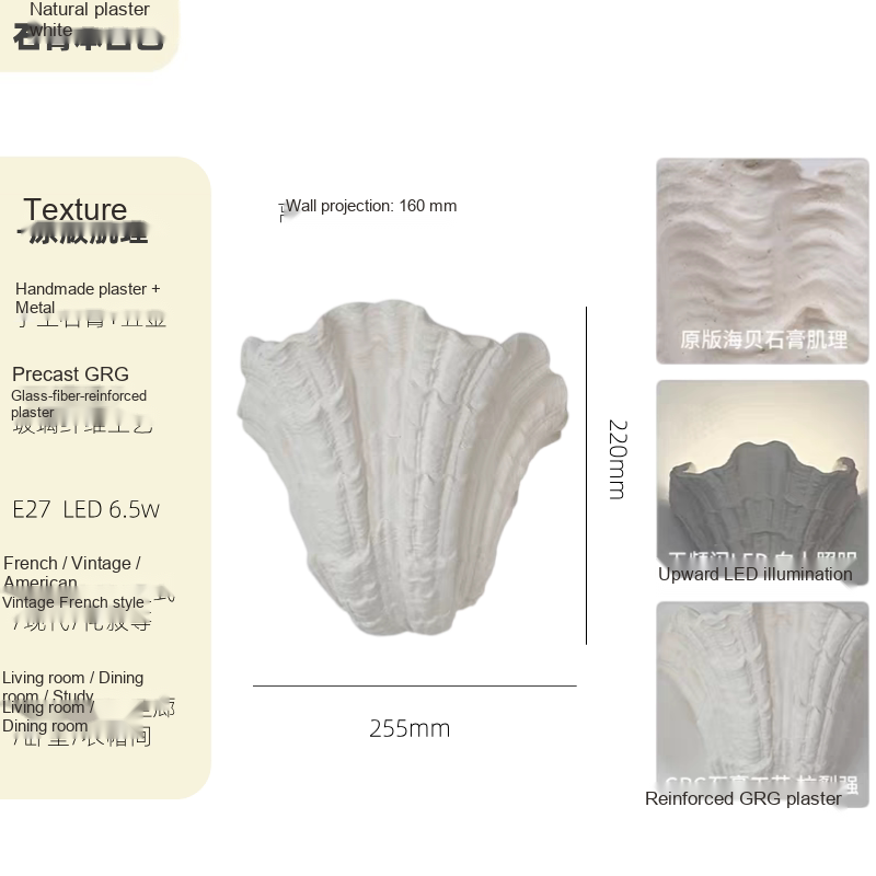 Sculpted Plaster Shell Wall Light — AM0250, view 3