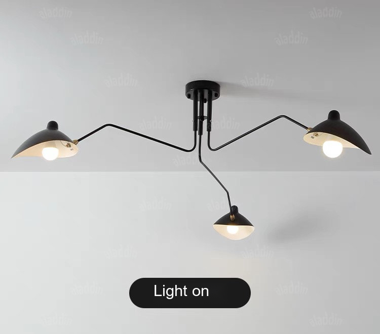 Branching Arm Chandelier — AM0169, view 20