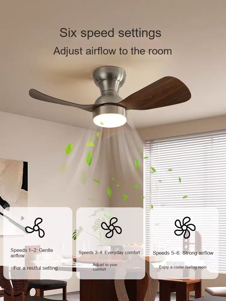 PALERILL AM0201 product image 3