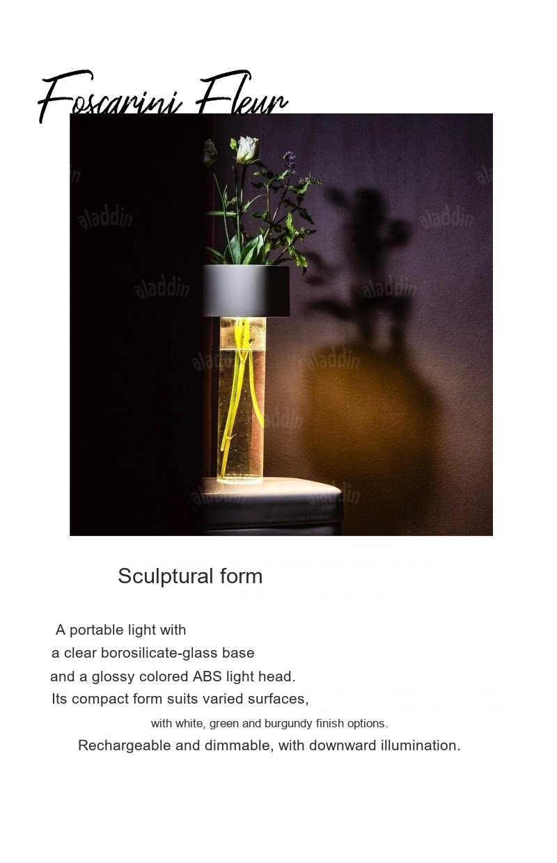 PALERILL AM0242 product image 10
