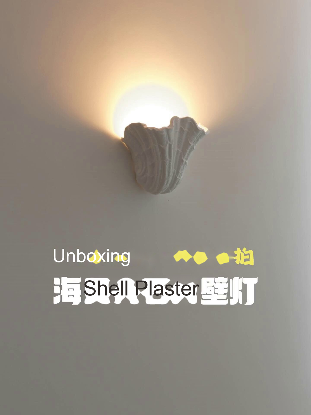 Sculpted Plaster Shell Wall Light — AM0250, view 4