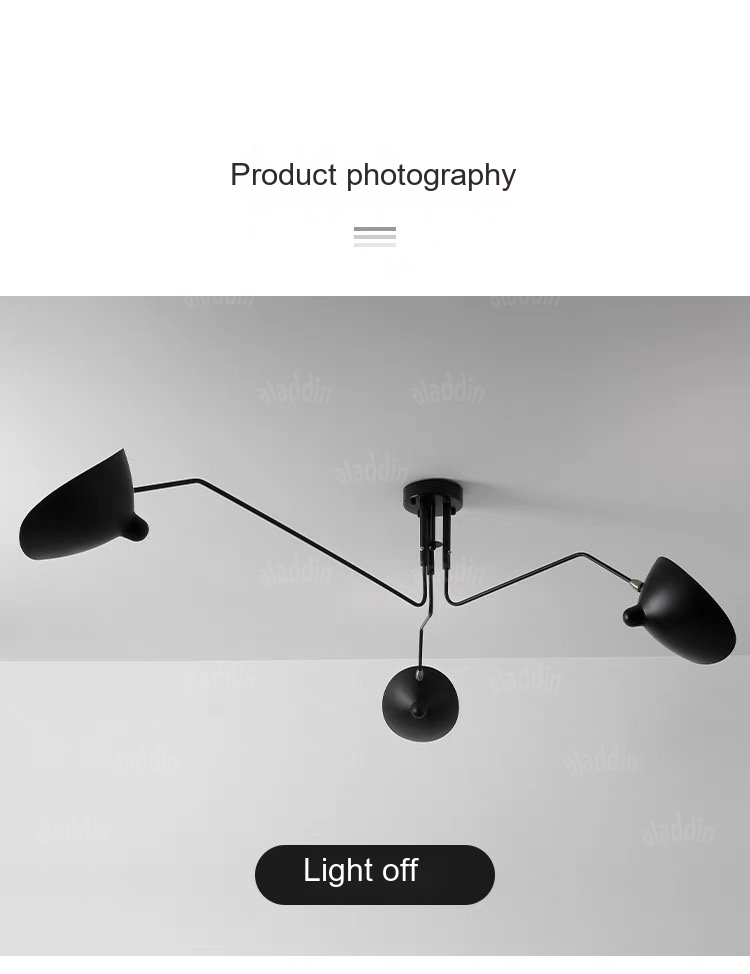 Branching Arm Chandelier — AM0169, view 19