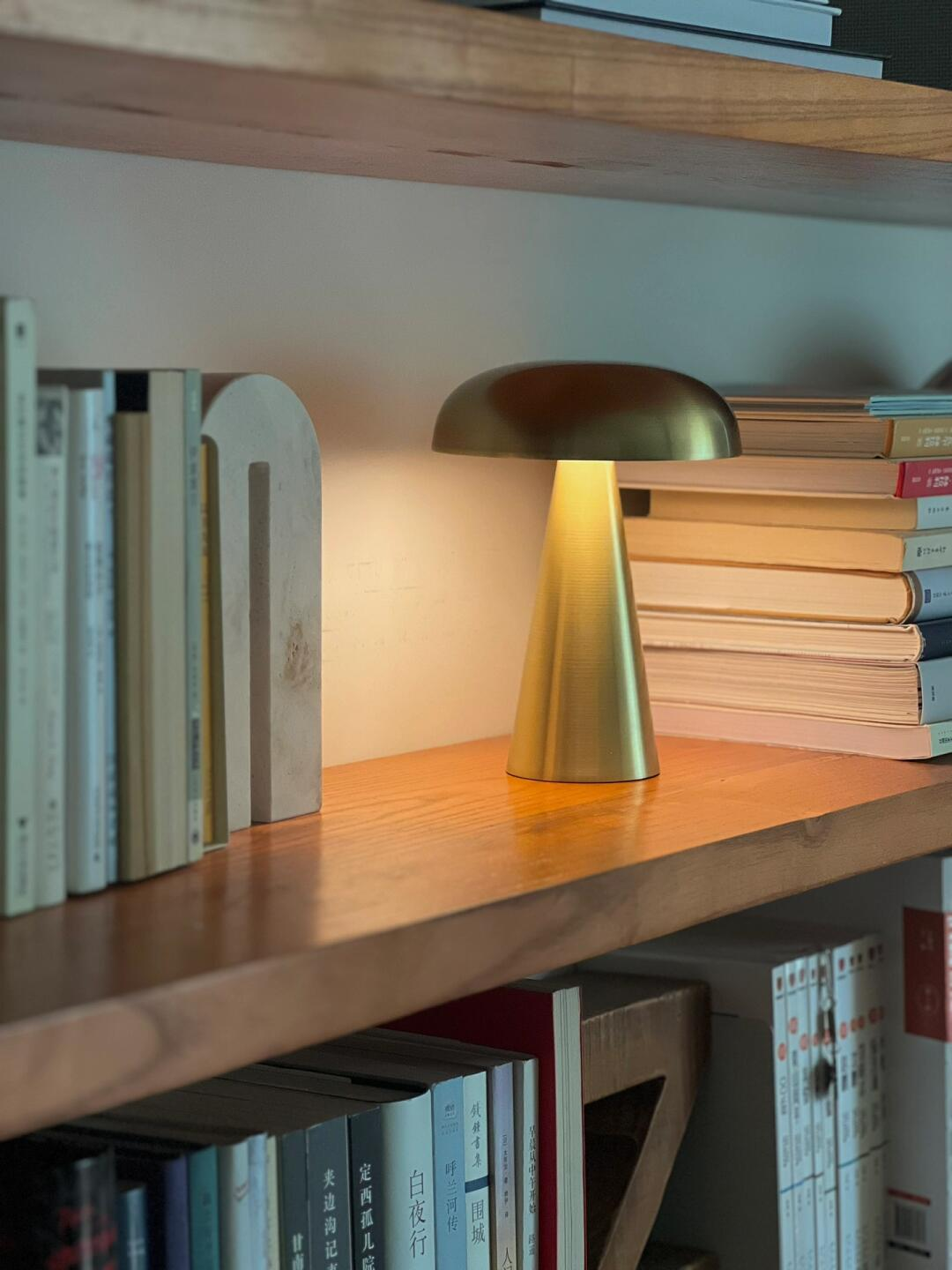 Brushed Metal Rechargeable Table Lamp — AM0144, view 4