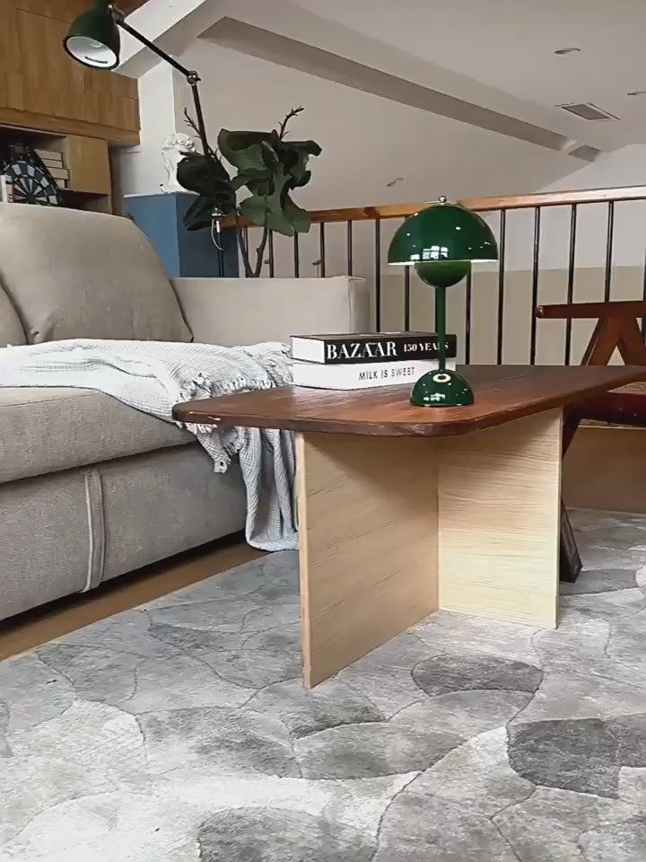 PALERILL AM0162 product video