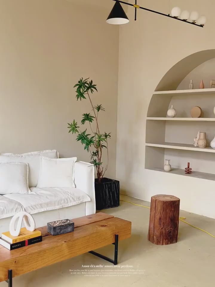 PALERILL AM0140 product video