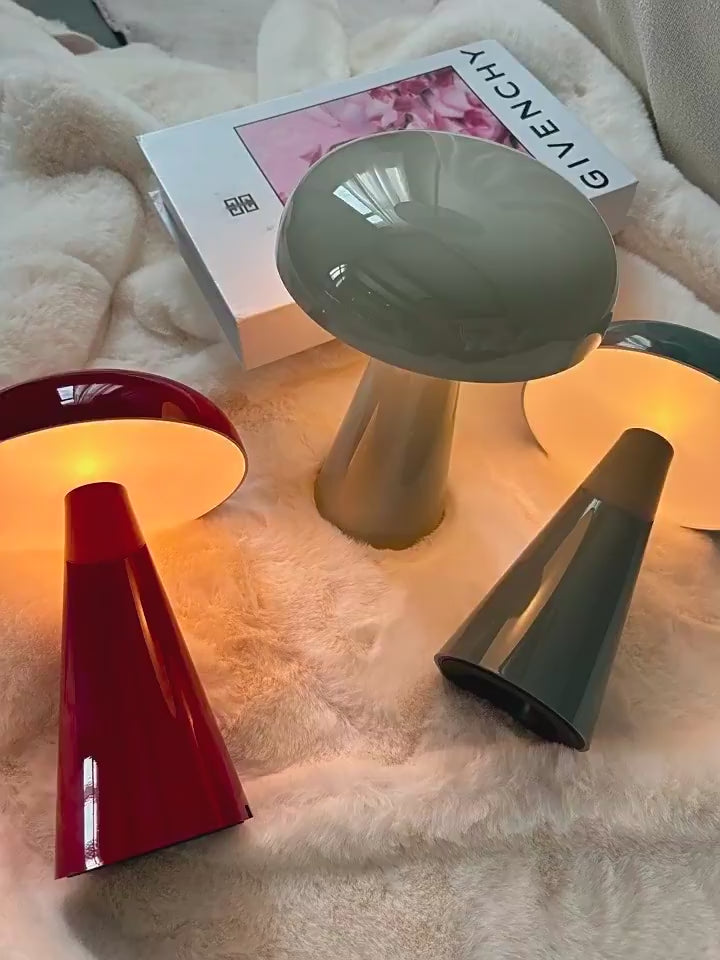 PALERILL AM0144 product video
