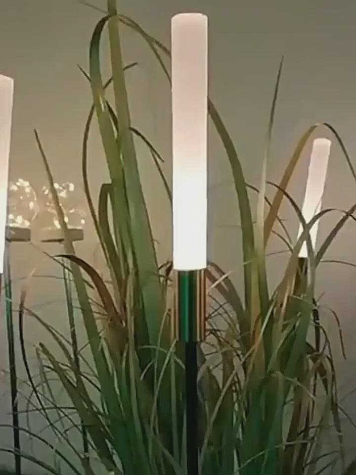 PALERILL HC-858659636971 video 01