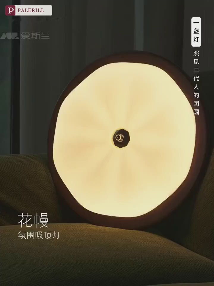 PALERILL | Mid-Century Full-Spectrum Ceiling Light