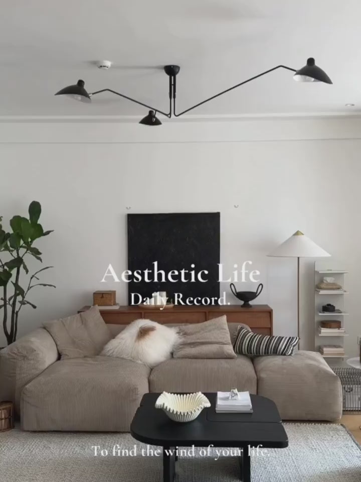 PALERILL AM0169 product video