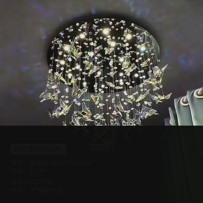 AM0558 — product film