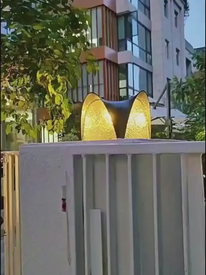 PALERILL HC-827104710649 video 01