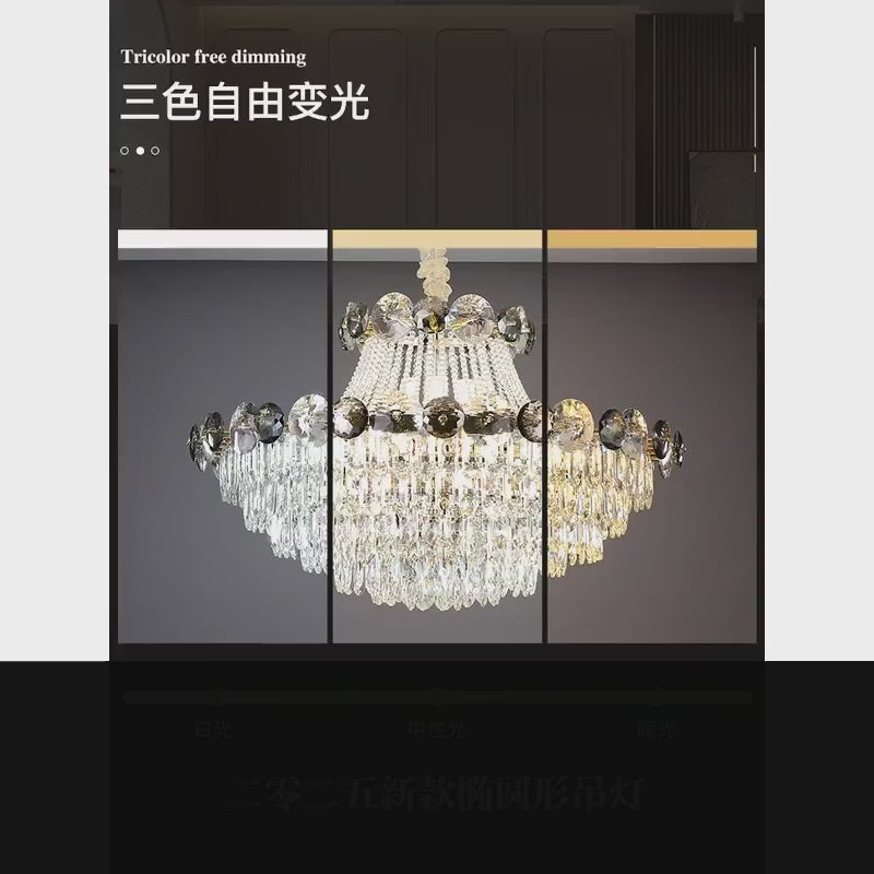 AM0479 — product film