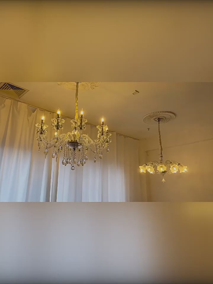 AM0841 — product film