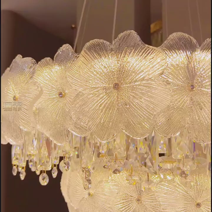 AM0651 — product film