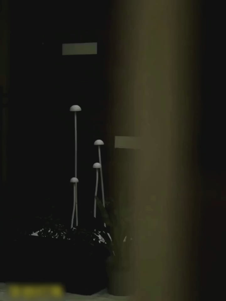 PALERILL HC-902207275464 video 01