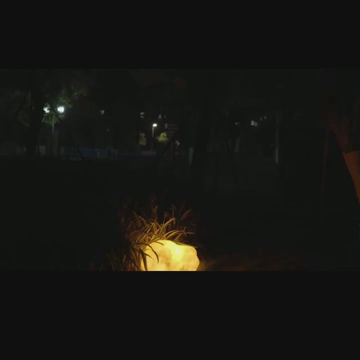 PALERILL HC-747752339036 video 01
